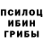 Cannafood конопля Waldemar Admiralov