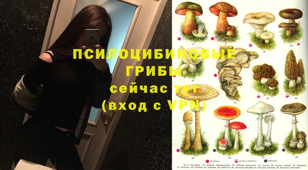 ГАЛЛЮЦИНОГЕННЫЕ ГРИБЫ Балабаново