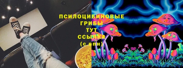 ГАЛЛЮЦИНОГЕННЫЕ ГРИБЫ Балабаново
