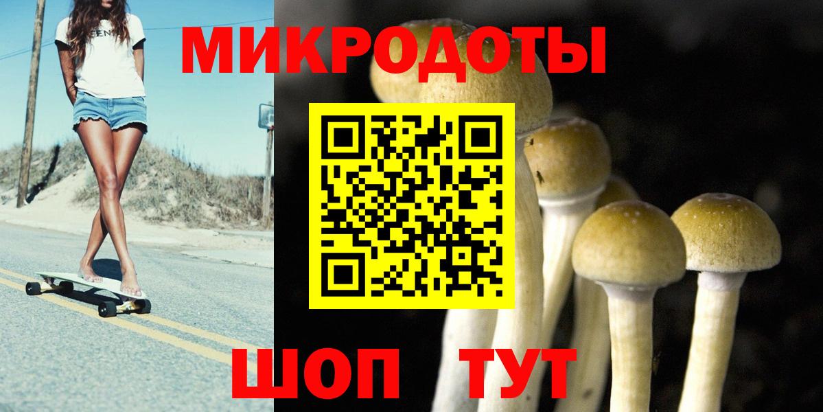 Псилоцибиновые грибы Cubensis Городец