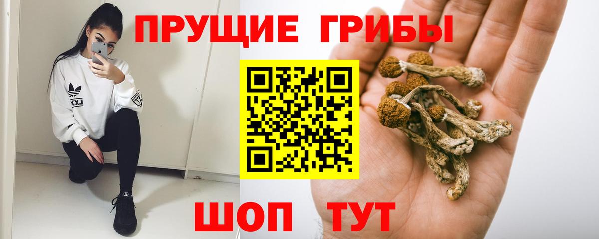 Городец  Галлюциногенные грибы MAGIC MUSHROOMS  Вход с VPN 